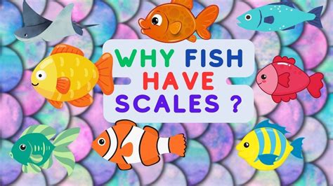 why fish have scales|Flexi answers .